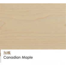 O bordo de Canadia delicado projetou o revestimento da madeira maciça do parquet de 3 camadas